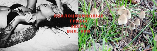 гидропоника Белокуриха