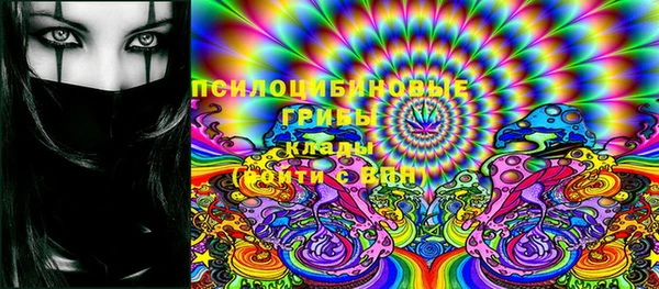 мдма Богородицк